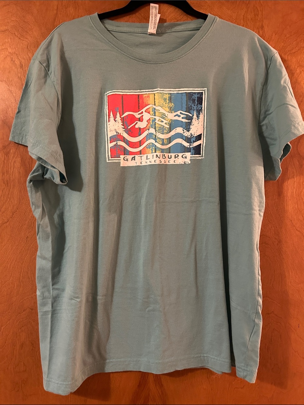 Blue Graphic Women’s T-Shirt